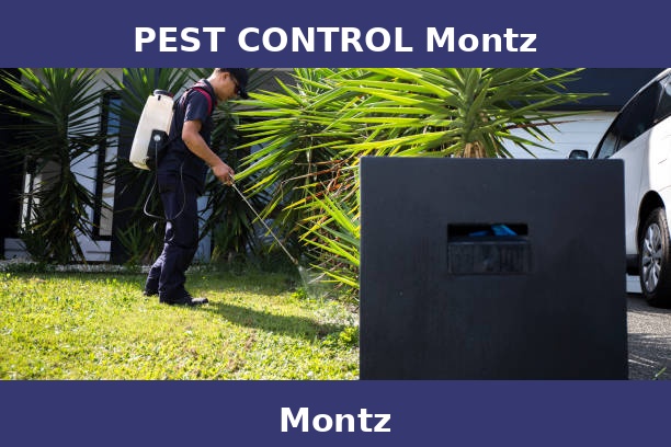 PEST CONTROL Montz